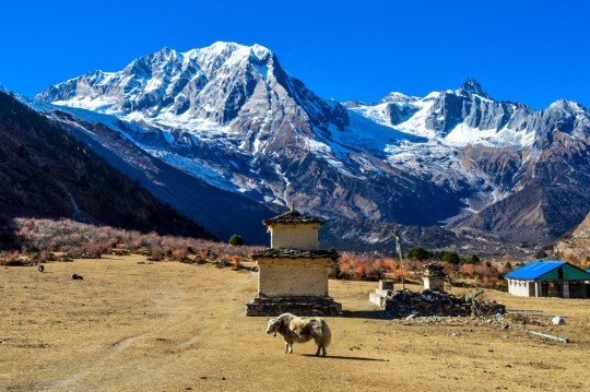 Manaslu Circuit Trek